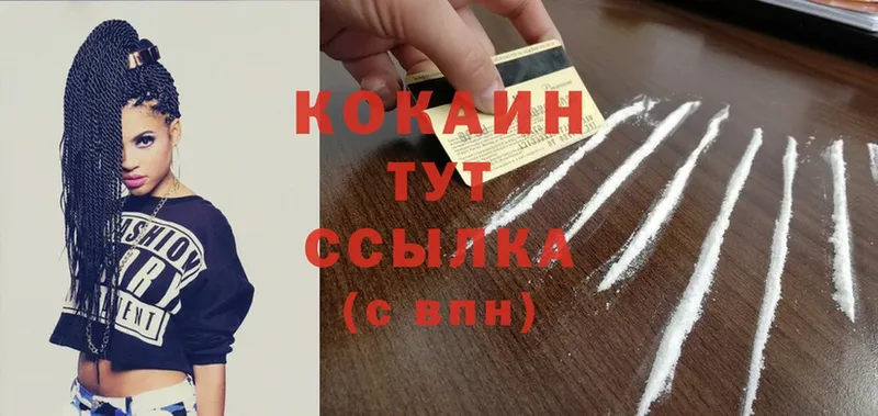 COCAIN Fish Scale Березники